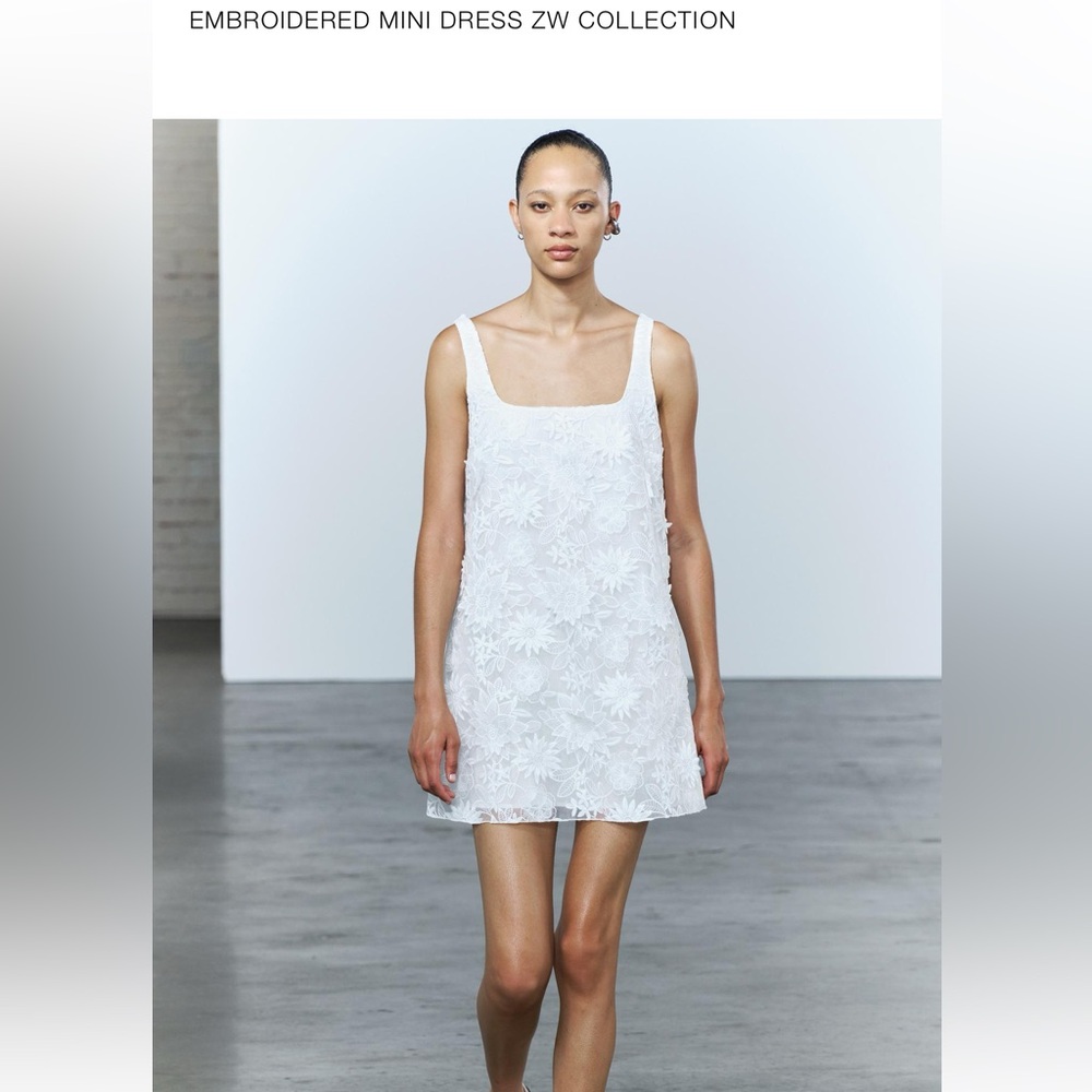 ZARA Embroidered Mini Dress ZW Collection